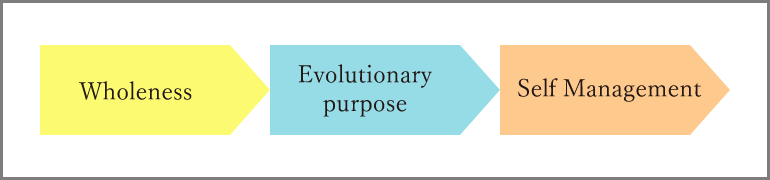 3つのブレイクスルー(Wholeness, Evolutionary purpose, Self Management)